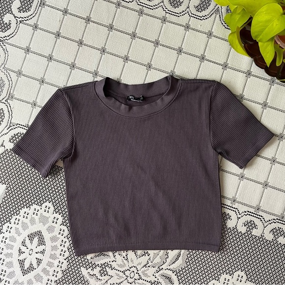 Zara Tops - Zara ribbed crop tee in charcoal grey size medium/large